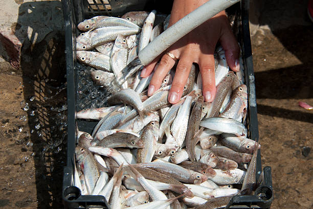 istock Women wash their hands goatfish 595762788