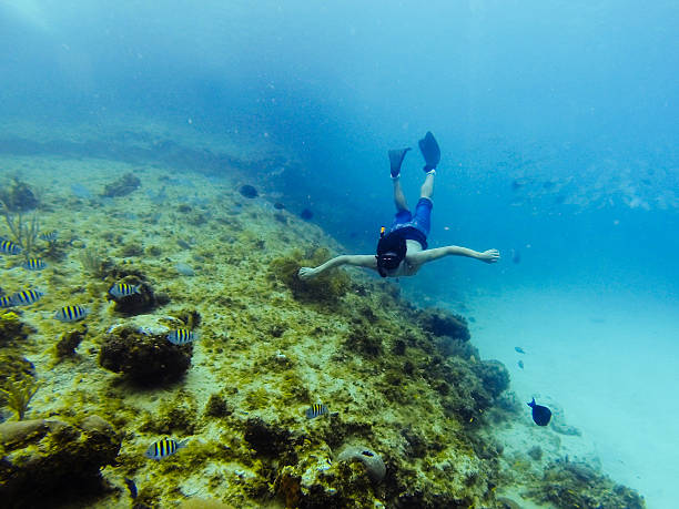 Young man swimming with fishes.