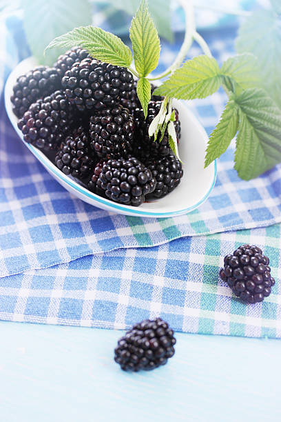 istock healthy food. juicy blackberries 595764238
