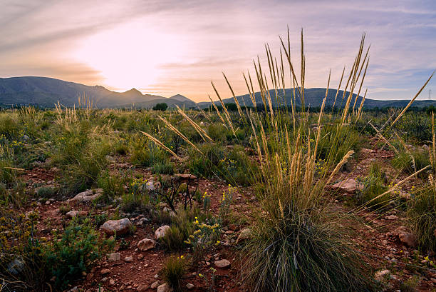 istock Sunset in the mountains landscape 595765374
