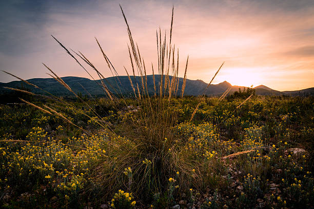 istock Sunset in the mountains landscape 595765572