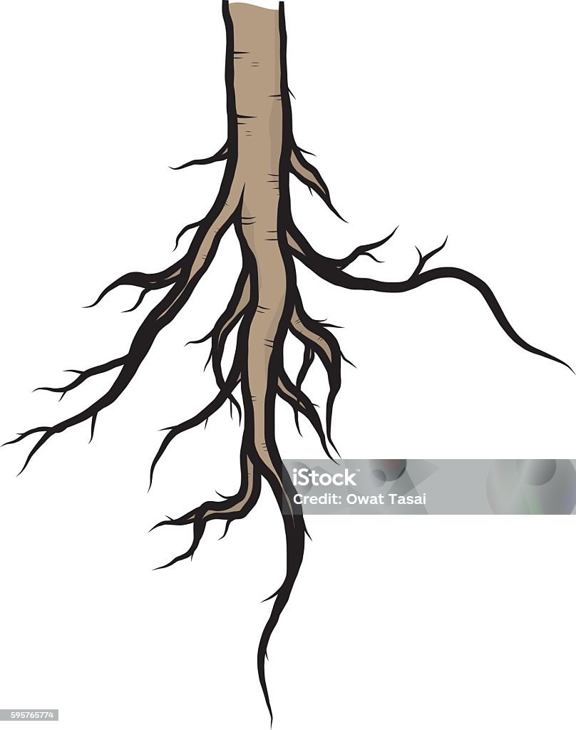 Les Racines Cartoon Arbre Racine Vecteurs libres de droits et plus d'images vectorielles de ...