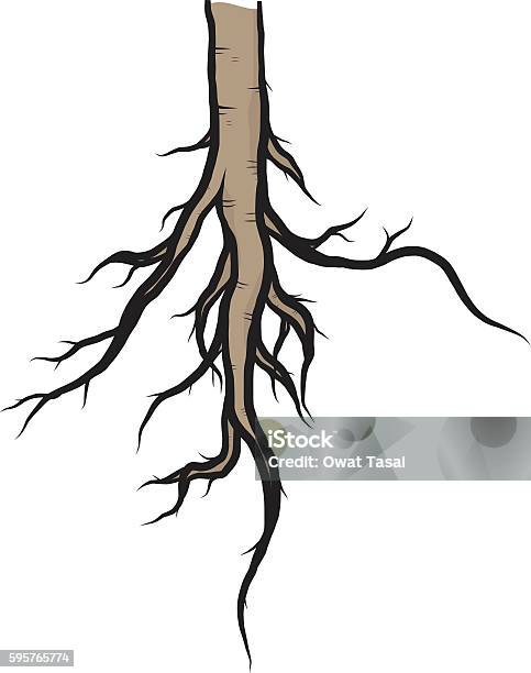 Pepis Racine Vector Arbre Racine Vecteurs libres de droits et plus d'images vectorielles de ...