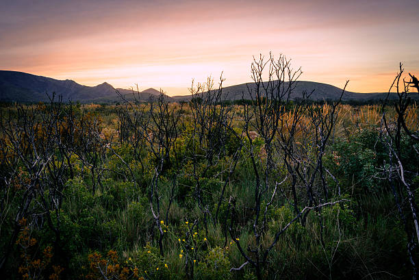 istock Sunset in the mountains landscape 595765786