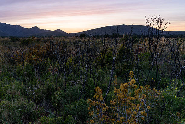 istock Sunset in the mountains landscape 595765836