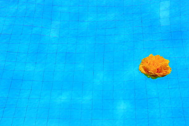 Yellow flower floating with sunlight reflection wave on swimming pool water