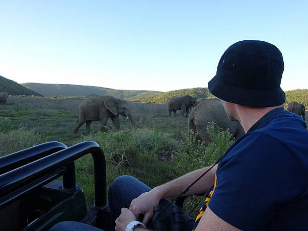 istock Man on safari with elephants 595769952