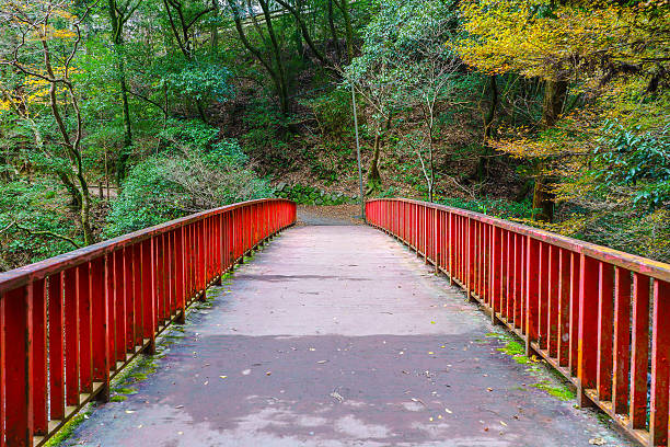 istock Japanese red Bridge in the forest 595771054
