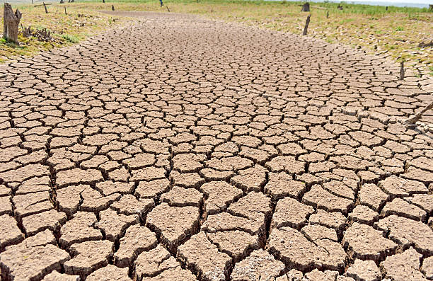 istock Dried earth because of rain dose not fall 596040374