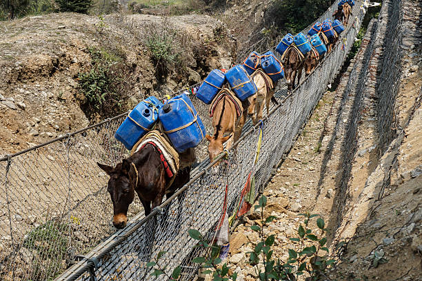 Day 1 of EBC Trek:  Horses crossing a suspension bridge