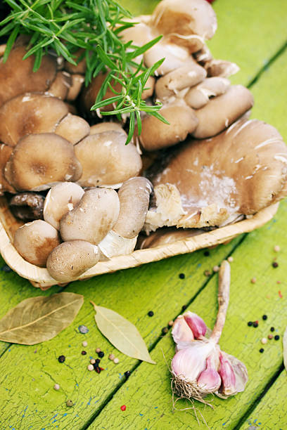 istock Oyster mushrooms with garlic 596040942