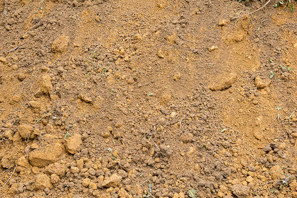 istock red laterite soil and rock texture with crumb of grass 596045200