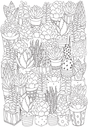 Hand drawn set of succulents, cactuses and pots.  Doodles elements. Black and white. Coloring book page for adult. Summer, succulent, doodles, vector, art design elements. Linear botanical vector.