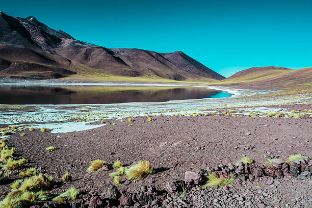 hermosa laguna altiplánica en chile - cerro miscanti fotografías e imágenes de stock