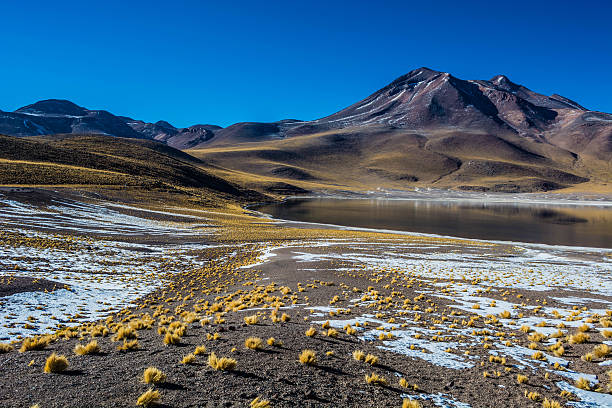 hermosa laguna altiplánica en chile - cerro miscanti fotografías e imágenes de stock