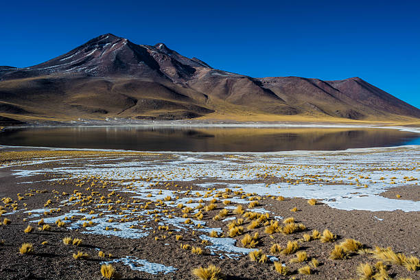 hermosa laguna altiplánica en chile - cerro miscanti fotografías e imágenes de stock