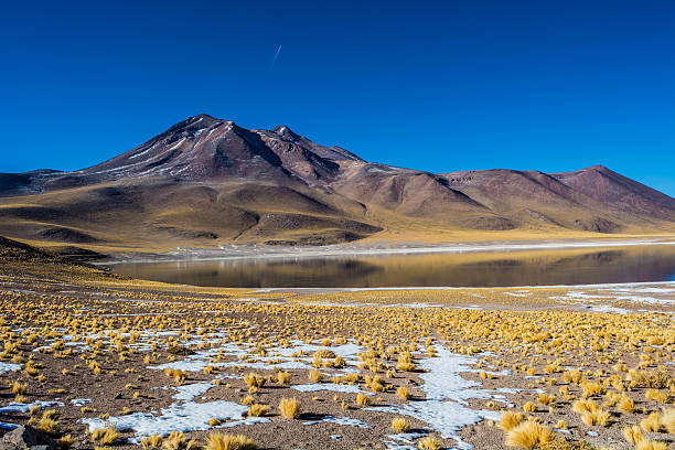 hermosa laguna altiplánica en chile - cerro miscanti fotografías e imágenes de stock