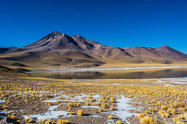 istock Beautiful altiplanic lagoon in Chile 596047368