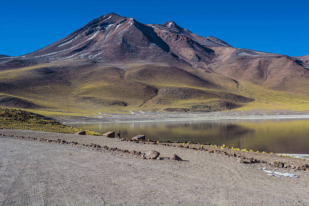 hermosa laguna altiplánica en chile - cerro miscanti fotografías e imágenes de stock