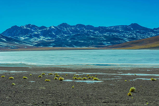 hermosa laguna altiplánica en chile - cerro miscanti fotografías e imágenes de stock