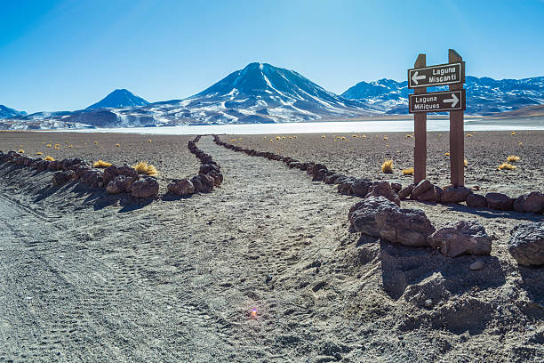 istock Pedestrian path at the atacama desert 596049180