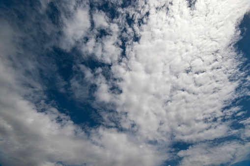 Altocumulus; White and/or gray patch, sheet or layered clouds, generally composed of laminae (plates), rounded masses or rolls. They may be partly fibrous or diffuse.