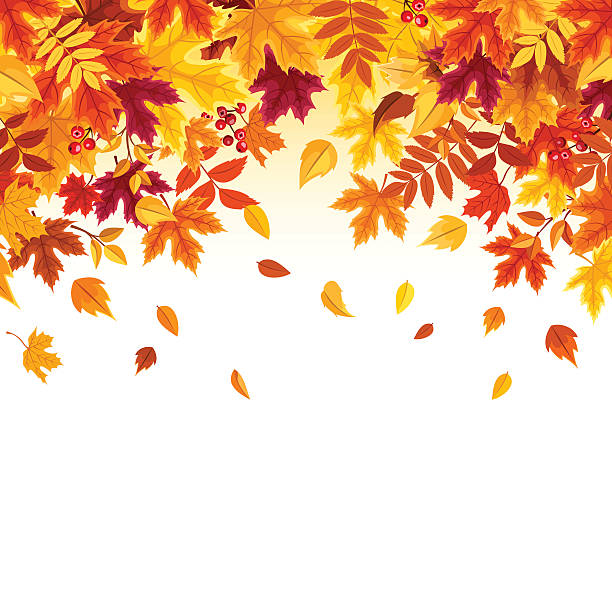 ilustrações de stock, clip art, desenhos animados e ícones de background with colorful falling autumn leaves. vector illustration. - cair ilustrações