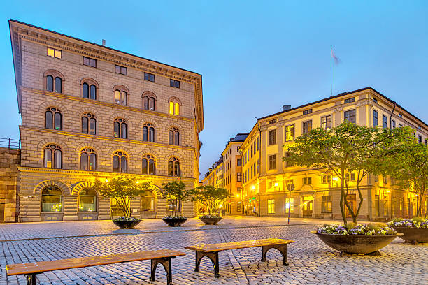 istock Stockholm's panorama, Sweden 596053122