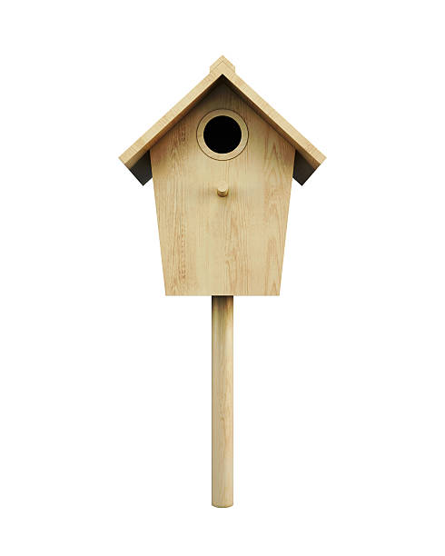 hang wooden birdhouse in the garden