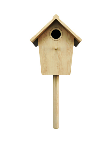 Close up of a small bird house with a little Sparrow resting on it in garden.