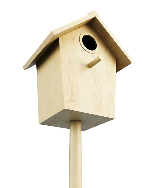 istock Wooden bird house isolated on a white background. 596053446
