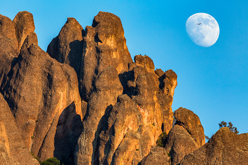 Moon Rise and Condor in Flight at Pinnacles National Park