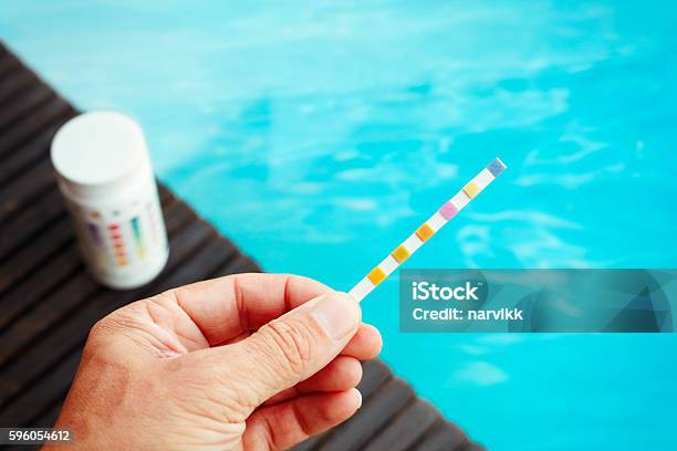 Checking Water Quality In The Swimming Pool Stock Photo - Download Image Now - Swimming Pool, Scientific Experiment, Water