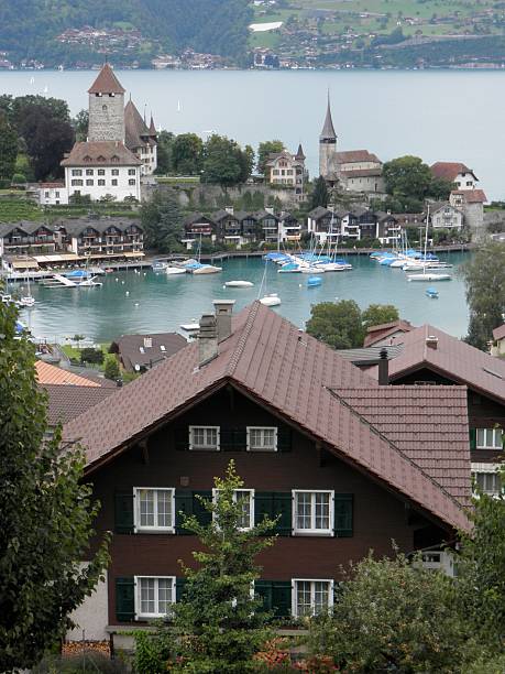 istock Lakeside village in Switzerland 596056650
