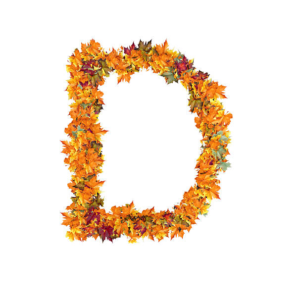 istock Letter D of Leaf on White Background 596057032
