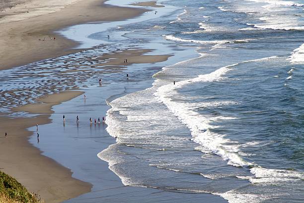 istock Beaches Near Long Beach Washington 596057108