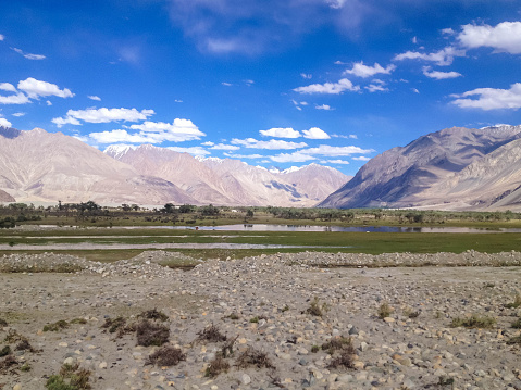 Beautiful scenic view of Nubra (Flower) valley desert - sand dunes against the background of distant colorful mountain range and cloudy blue sky, Ladakh, Himalaya, Jammu & Kashmir, Northern India