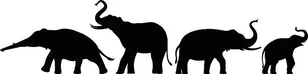 Vector illustration of Elephants Silhouette