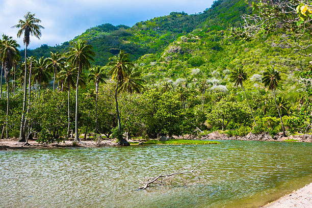 River in Nuku Hiva