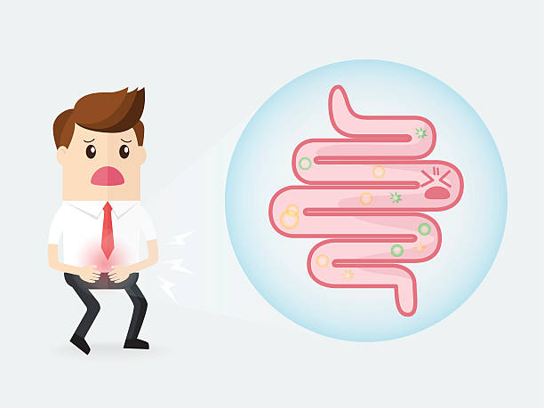 businessman  stomach ache with bacteria in the small intestine businessman has a stomach ache with bacteria in the small intestine human duodenum stock illustrations
