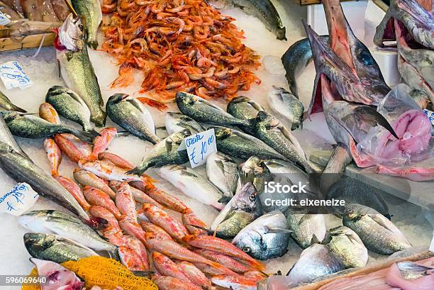 Fresh Fish And Seafood At A Market Stock Photo - Download Image Now - Fish, Market Stall, Market - Retail Space