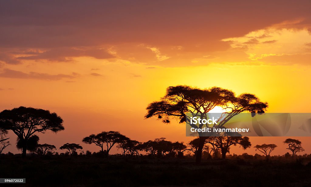 Tramonto africano - Foto stock royalty-free di Africa