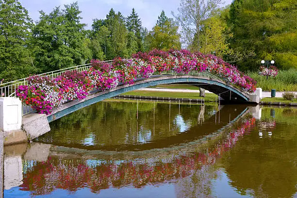 Flowery bridge with reflection on the lake at Bagnoles-de-l'Orne is a former commune in the Orne department in northwestern France. This town is famous for its hydrotherapic baths