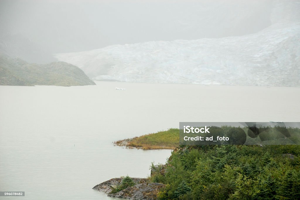 USA Alaska - Mendenhall Glacier and Lake USA Alaska, Tongass National Forest, Mendenhall Glacier Recreation Area, Travel destination Agricultural Field Stock Photo