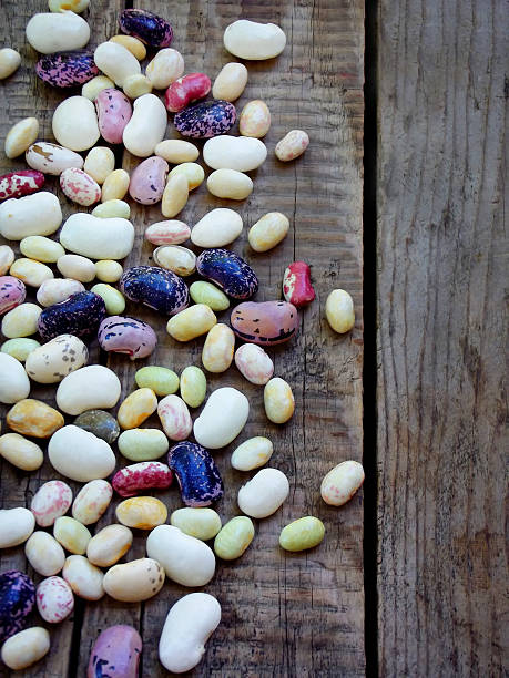 istock young beans of different varieties and colors with side border 596078652