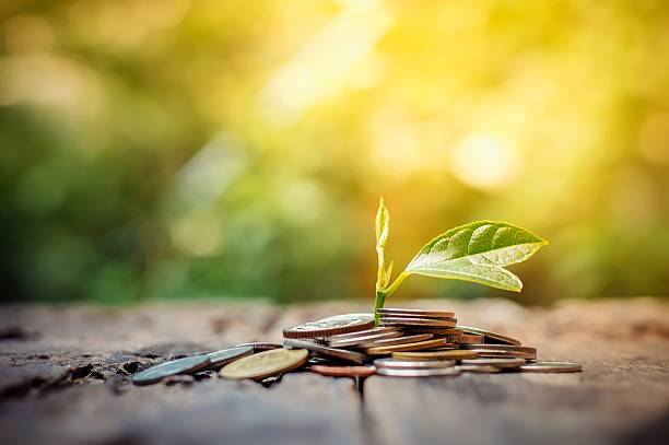 istock Business investment growth concept 596081306