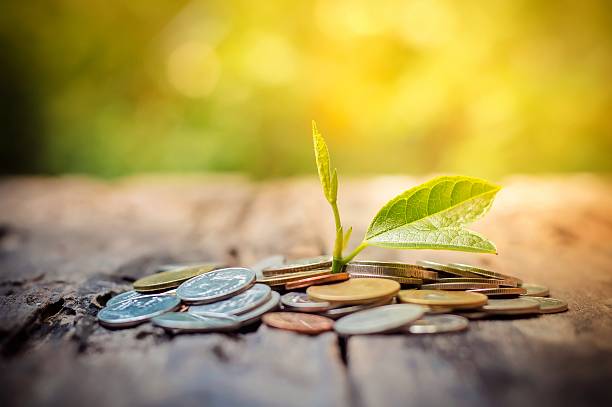 istock Business investment growth concept 596081404