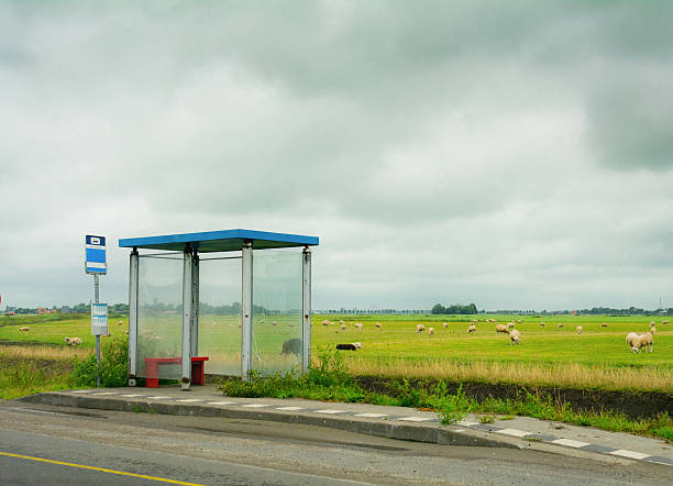 Remote Busstop Friesland Busstop in Netherlands most rural empty province Friesland  made of steel and glass friesland netherlands stock pictures, royalty-free photos & images
