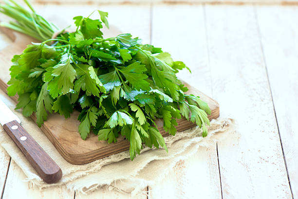 istock Organic italian parsley 596082552
