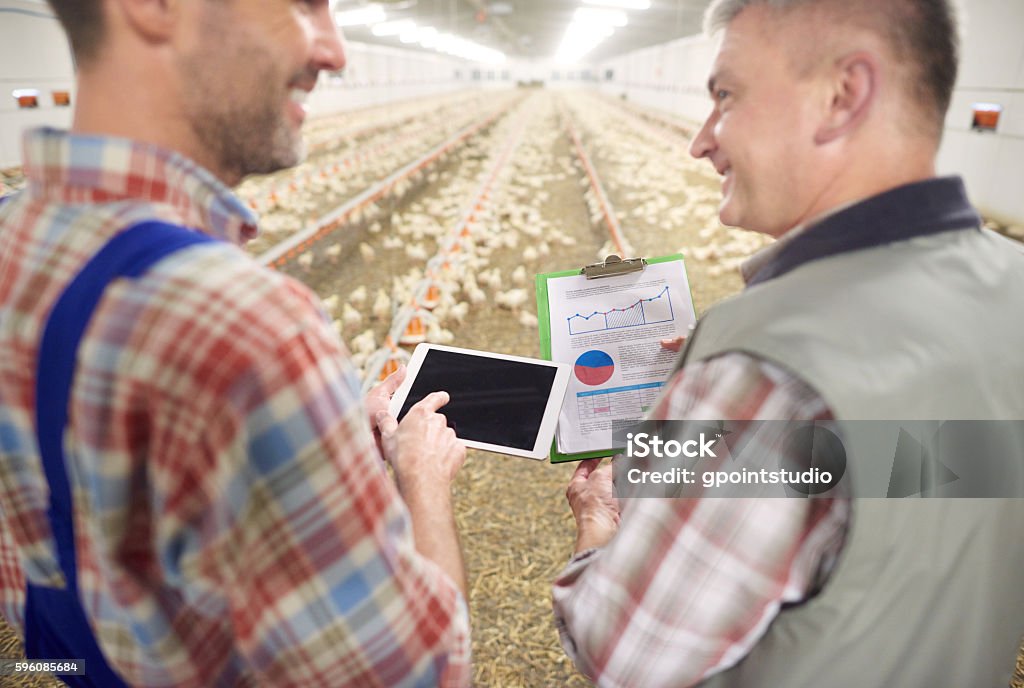 Vérification des données récentes de l’entreprise - Photo de Ferme - Aménagement de l'espace libre de droits